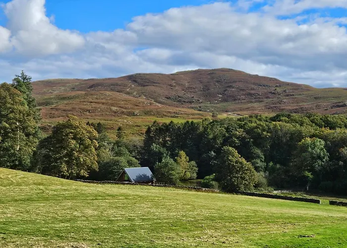 Kingfisher Broughton-in-Furness
