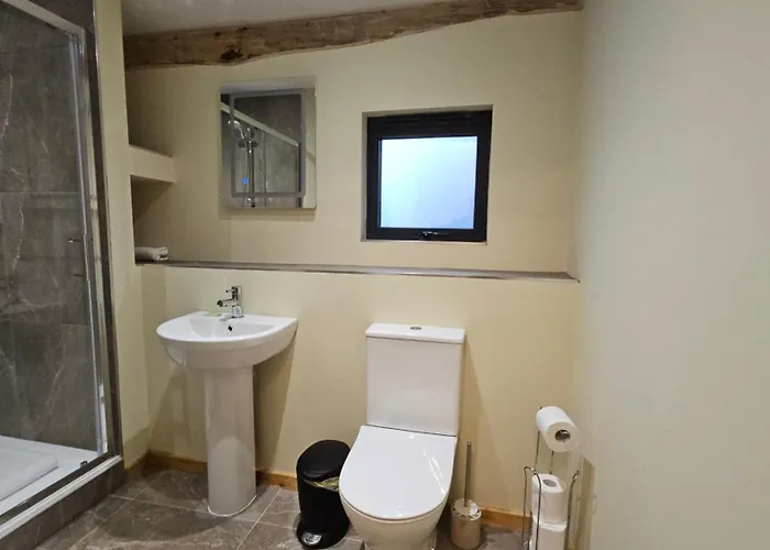 Kingfisher * Broughton in Furness